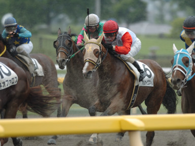 2009/05/24 東京07R