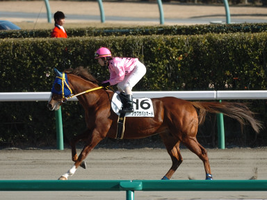 2006/01/08 R07R