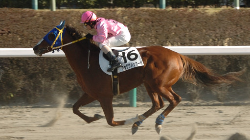 2006/01/08 R07R