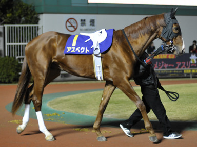 2011/12/14 川崎10R