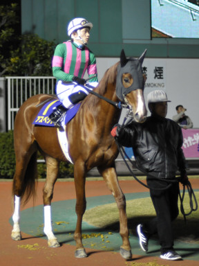 2011/12/14 川崎10R