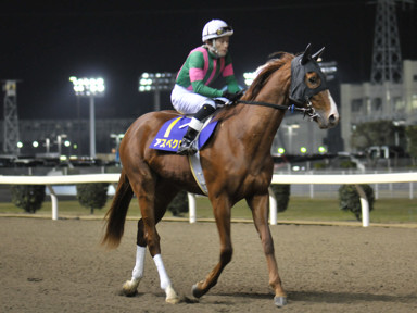 2011/12/14 川崎10R