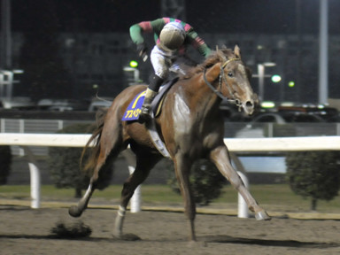 2011/12/14 川崎10R