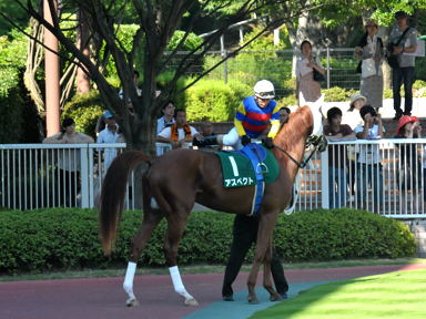 2012/08/05 新潟11R