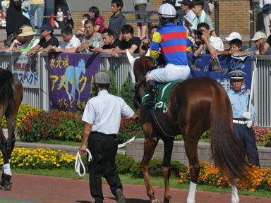 2012/08/05 新潟11R