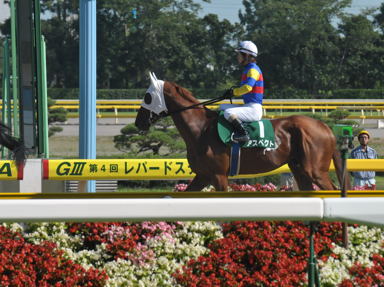 2012/08/05 新潟11R