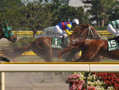 2012/08/05 新潟11R