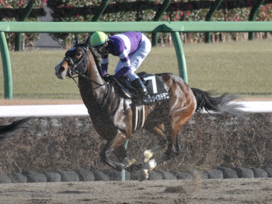 2025/01/11 中山09R