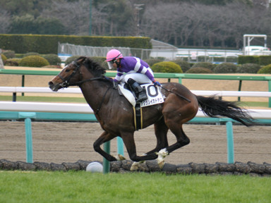 2025/03/08 中山07R