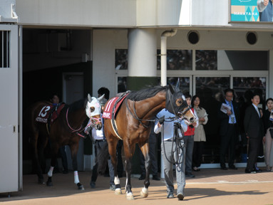 2025/04/12 中山11R