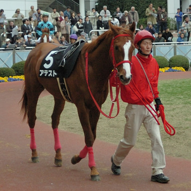 2006/04/02 R10R