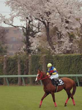 2006/04/02 R10R