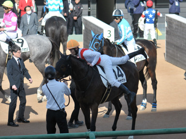 2025/03/01 中山08R