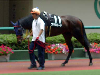 2001/06/23 福島09R