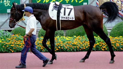 2001/09/08 中山08R