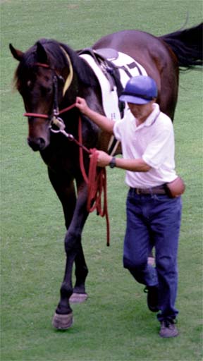 2001/09/08 中山08R
