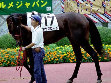 2001/09/08 中山08R