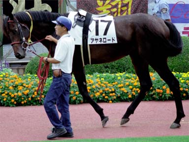 2001/09/08 中山08R