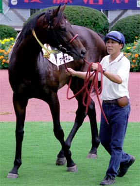 2001/09/08 中山08R