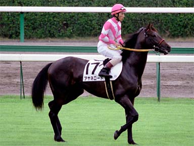 2001/09/08 中山08R