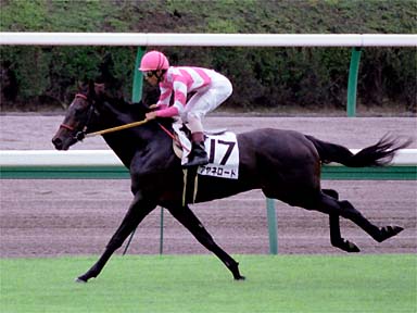 2001/09/08 中山08R