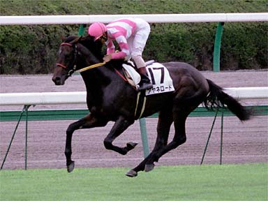 2001/09/08 中山08R