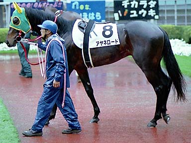 2002/04/21 東京12R