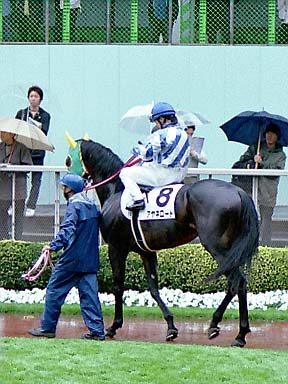 2002/04/21 東京12R
