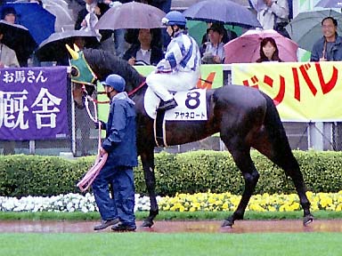 2002/04/21 東京12R