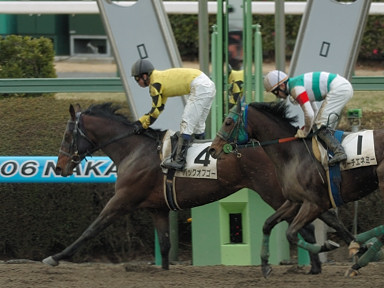 2006/02/25 R08R
