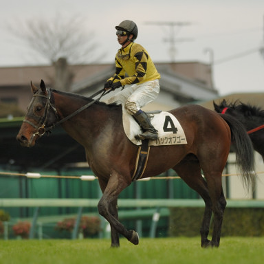2006/02/25 R08R
