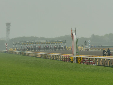 2006/05/13 10R