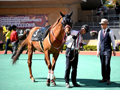 2026/03/14 ����10R