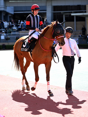 2026/03/14 ����10R