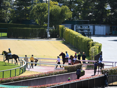 2026/03/14 ����10R