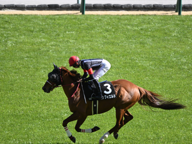 2026/03/14 ����10R