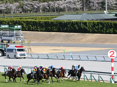 2026/03/14 ����10R