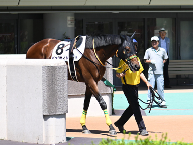 2025/06/22 東京01R