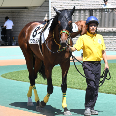 2025/06/22 東京01R