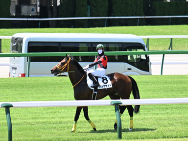 2025/06/22 東京01R