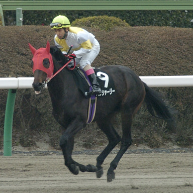 2004/01/17 R09R