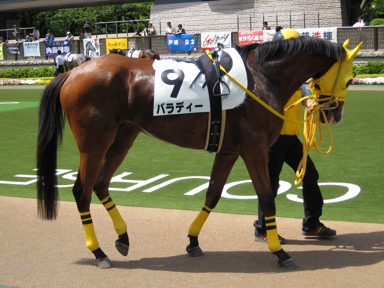 2010/05/08 東京08R