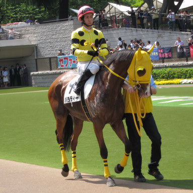 2010/05/08 東京08R