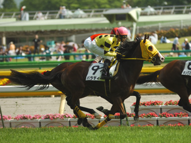 2010/05/08 東京08R