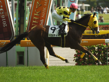 2010/05/08 東京08R