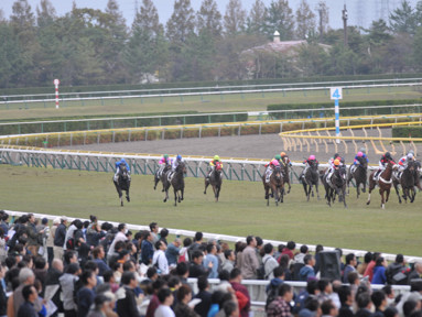 2018/10/27 新潟08R