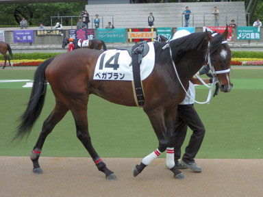 2009/05/16 東京04R