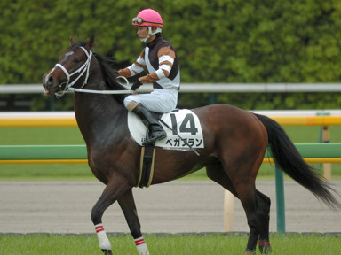 2009/05/16 東京04R