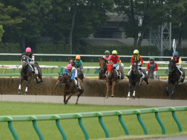 2009/05/16 東京04R
