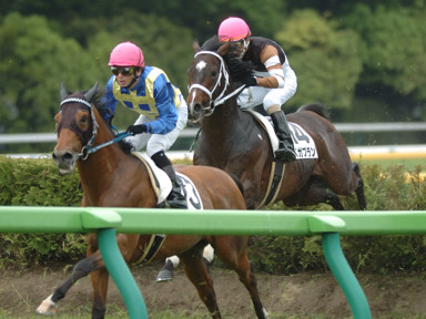 2009/05/16 東京04R